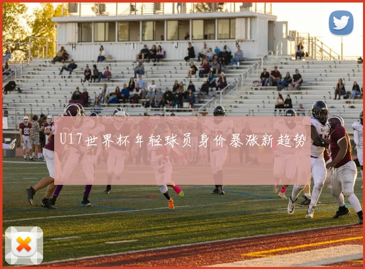 U17世界杯年轻球员身价暴涨新趋势