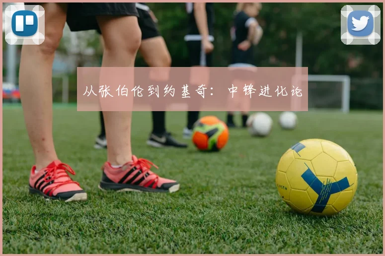 从张伯伦到约基奇：中锋进化论