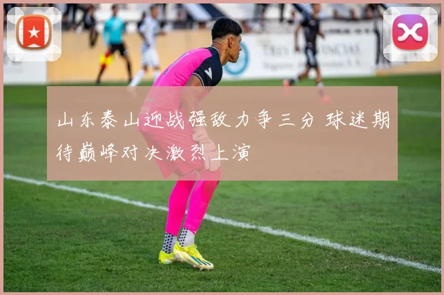 山东泰山迎战强敌力争三分 球迷期待巅峰对决激烈上演